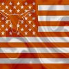 USA Texas Longhorn Flag paint by number