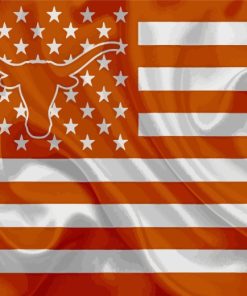 USA Texas Longhorn Flag paint by number