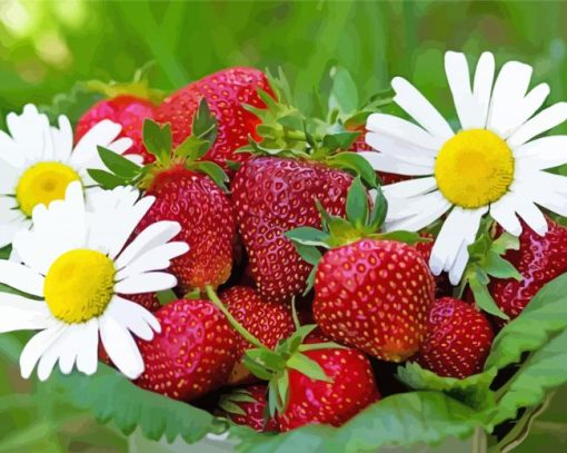 Strawberry And Daisies Flowers paint by number