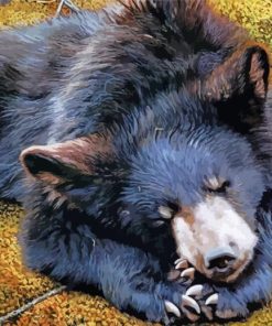 Black Sloth Bear paint by number