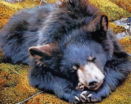 Black Sloth Bear paint by number