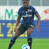 Duvan Zapata paint by number