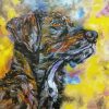 Plott Hound Art paint by number