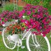 White Garden And Bicycle paint by number