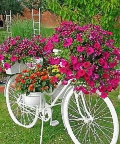 White Garden And Bicycle paint by number