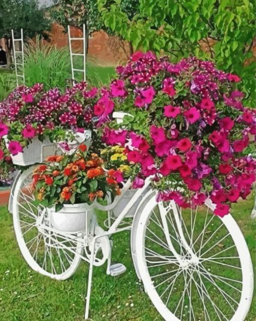 White Garden And Bicycle paint by number