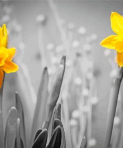 Yellow Flowers Black And White paint by number