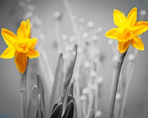 Yellow Flowers Black And White paint by number