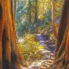 Muir Woods National Monument paint by number