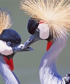 Aesthetic Grey Crowned Crane paint by number