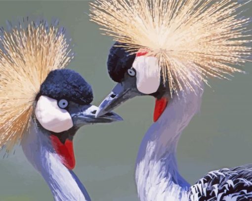 Aesthetic Grey Crowned Crane paint by number