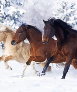 Aesthetic Snow Horse Animals paint by number