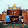 Baltimore Orioles Stadium paint by number