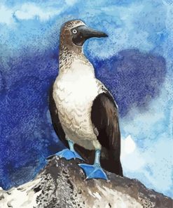 Blue Footed Booby Bird Art paint by number