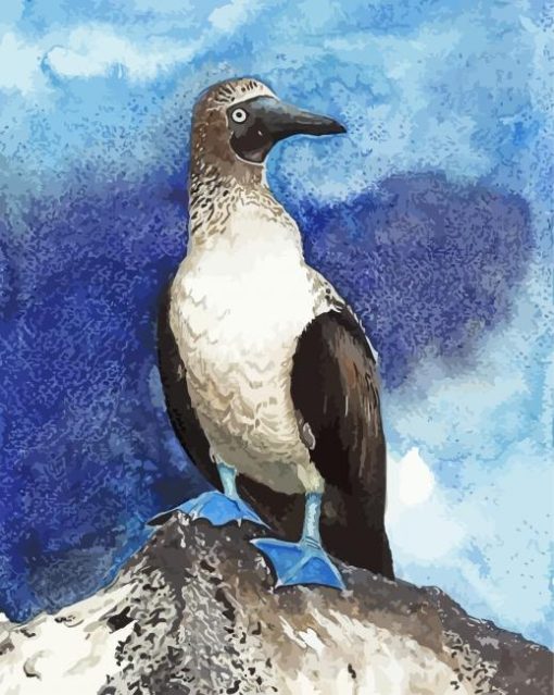 Blue Footed Booby Bird Art paint by number