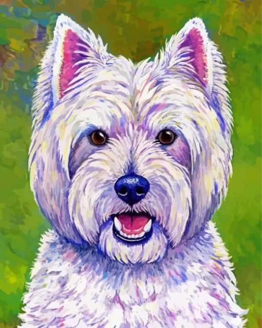 Cairn Terrier Art paint by number