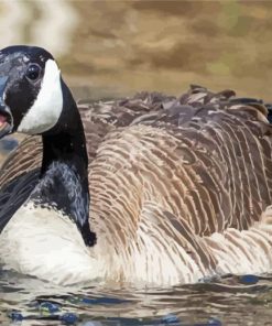 Canada Geese paint by number