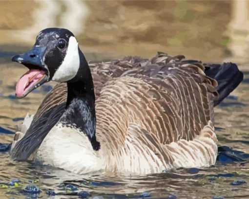 Canada Geese paint by number