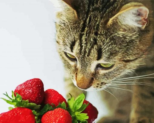 Cat And Strawberry paint by number