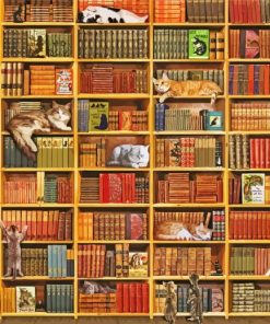 Cats In Bookshelves paint by number