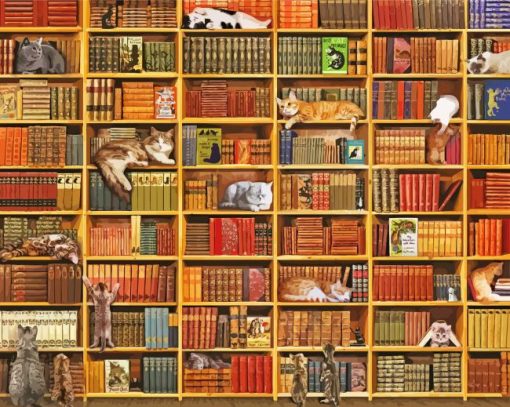 Cats In Bookshelves paint by number