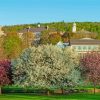 Colgate University In Hamilton NY paint by number