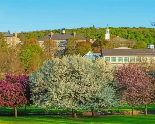 Colgate University In Hamilton NY paint by number