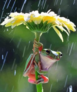 Cute Frog In The Rain paint by number