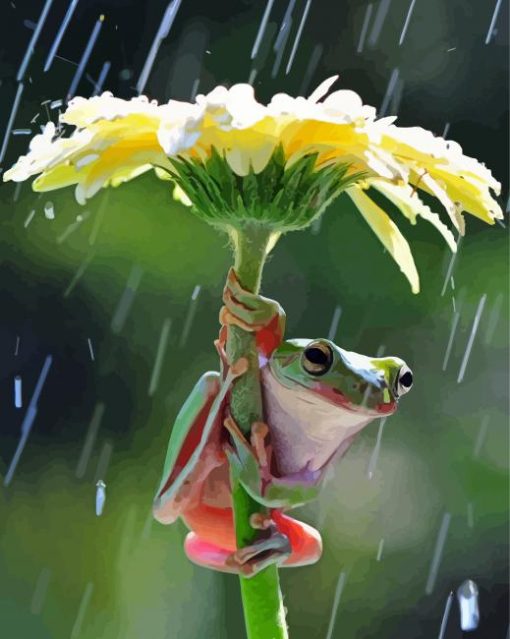 Cute Frog In The Rain paint by number