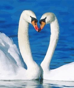 Cute Romantic Swan paint by number