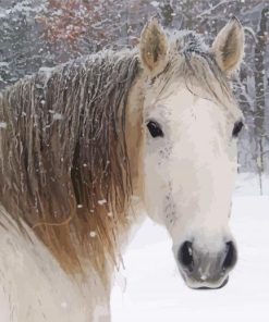 Cute Snow Horse paint by number