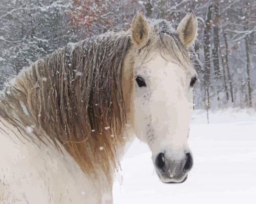 Cute Snow Horse paint by number