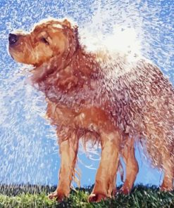 Cute Wet Dog paint by number