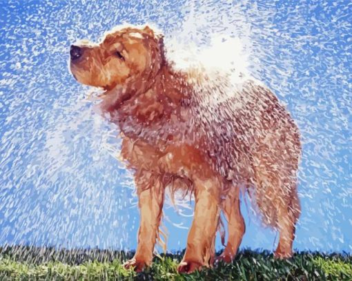 Cute Wet Dog paint by number