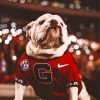 Georgia Bulldog paint by number