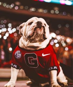 Georgia Bulldog paint by number