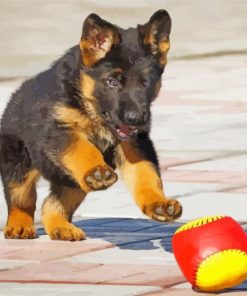 German Shepherd Puppy Playing paint by number