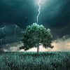 Lightning Tree Art paint by number