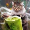 Magical Cat paint by number