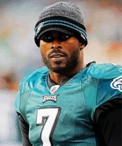 Michael Vick American Footballer paint by number