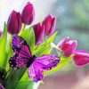 Purple Butterfly With Tulips paint by number