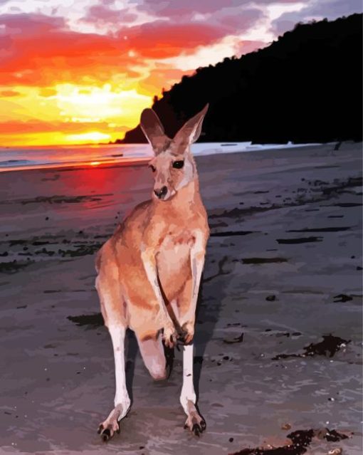 Red Kangaroo In Beach paint by number