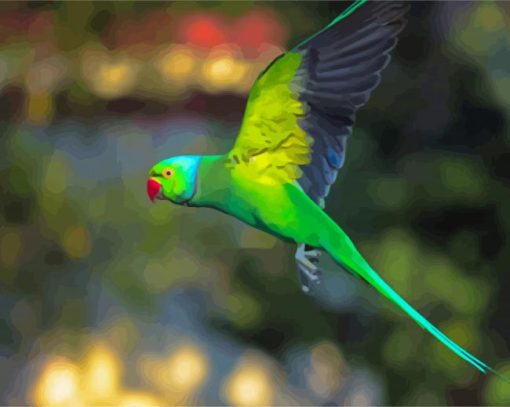 Rose Ringed Parakeet Bird Flying paint by number