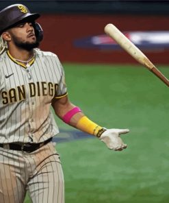 Tatis San Diego Padres Player paint by number