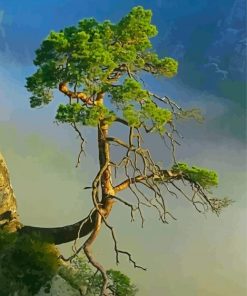 Tree On Cliff In Smokey Mountain paint by number