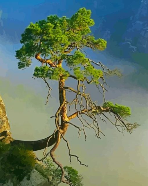 Tree On Cliff In Smokey Mountain paint by number