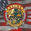 Usmc Skull Logo paint by number