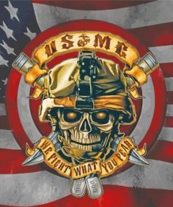 Usmc Skull Logo paint by number