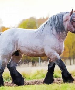 White English Plow Horse paint by number