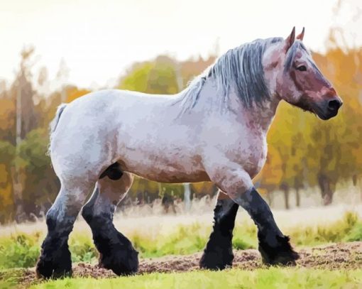 White English Plow Horse paint by number